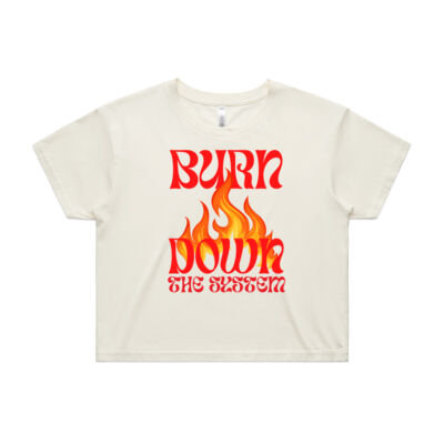 BURN DOWN THE SYSTEM Thumbnail